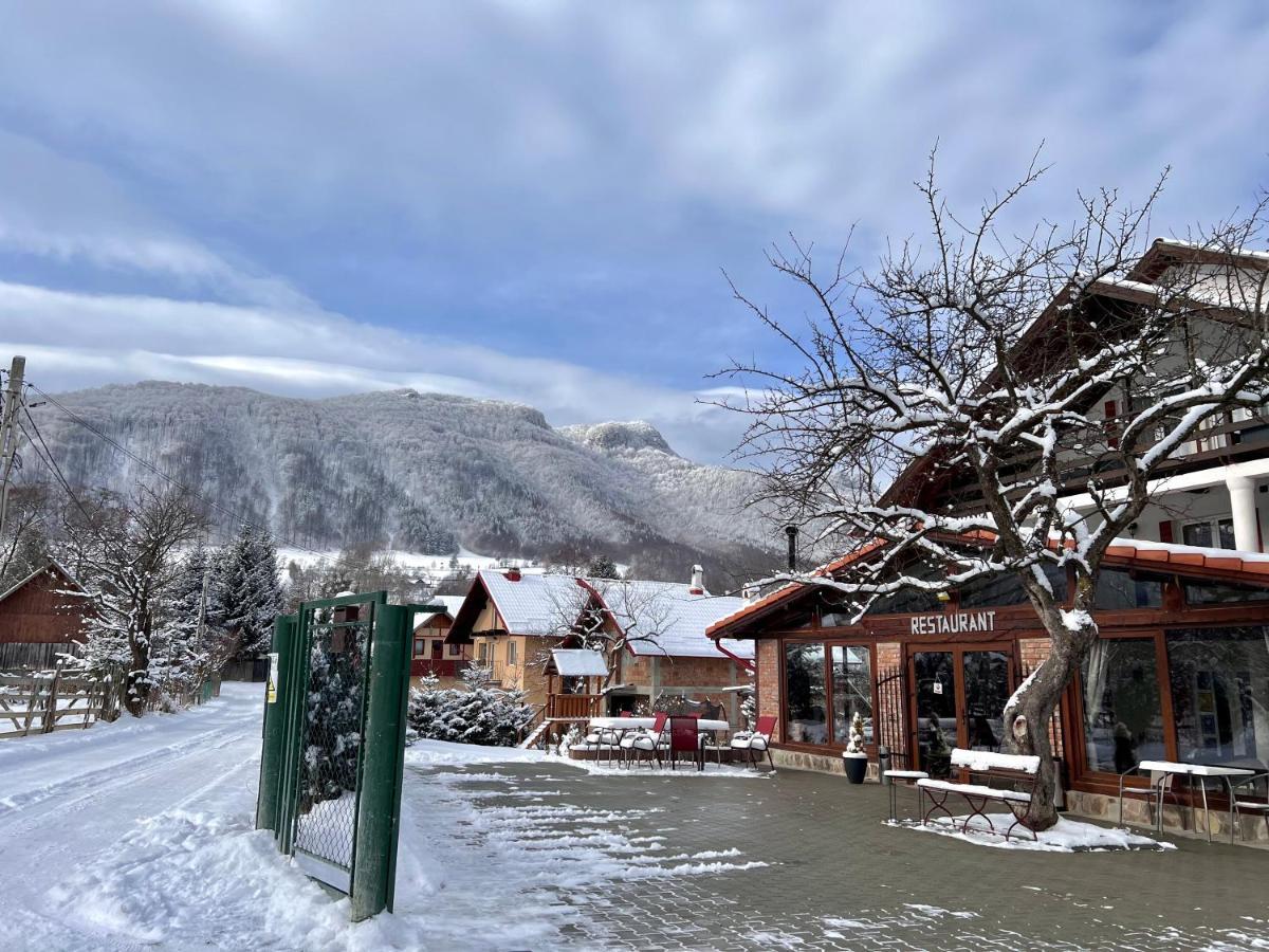 Hotel Casa Centiu Bran  Zewnętrze zdjęcie