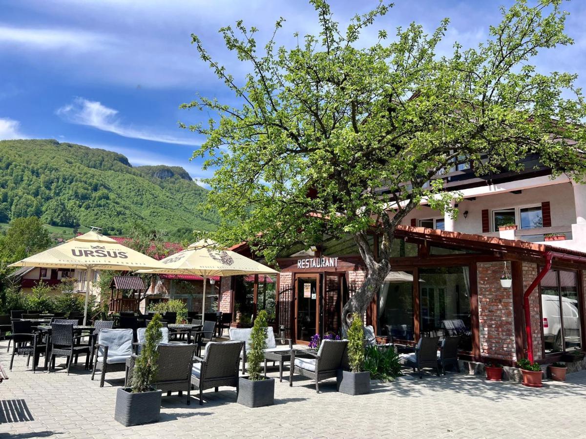 Hotel Casa Centiu Bran  Zewnętrze zdjęcie