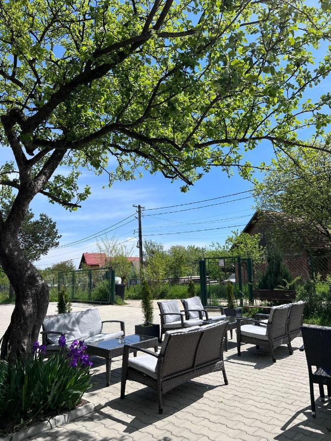Hotel Casa Centiu Bran  Zewnętrze zdjęcie