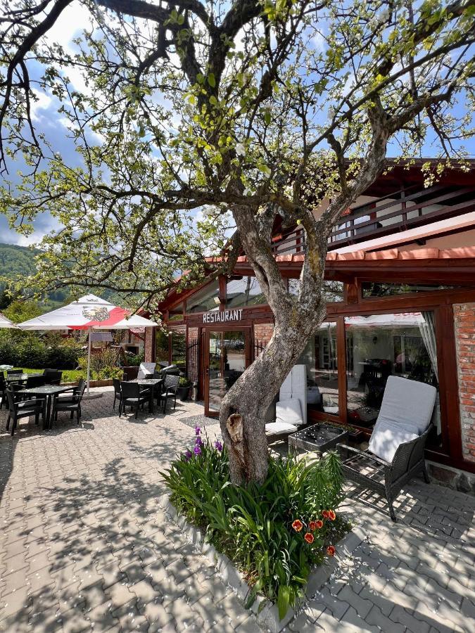 Hotel Casa Centiu Bran  Zewnętrze zdjęcie